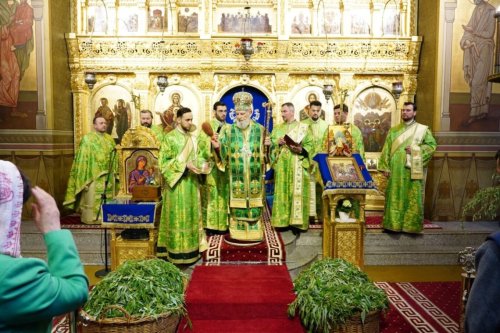 Procesiuni și slujiri de Florii în eparhii din Muntenia și Dobrogea